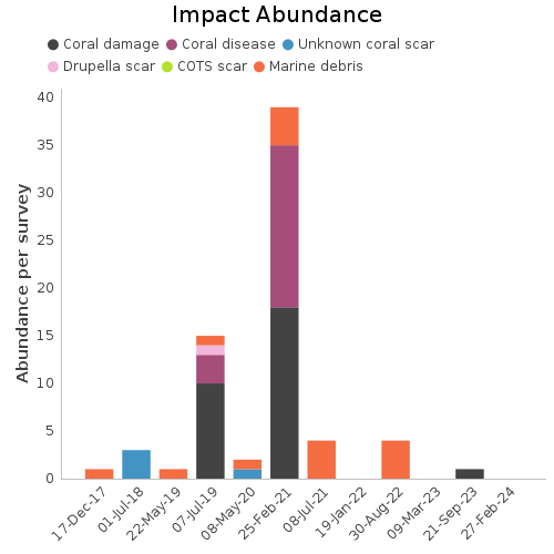 Impact Abundance