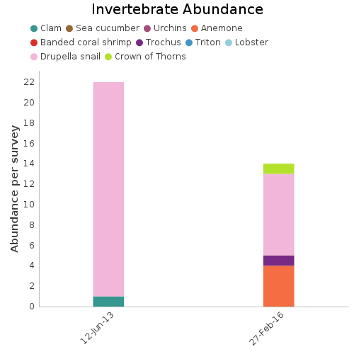 Invertebrate Abundance