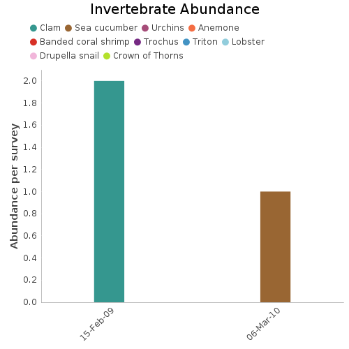 Invertebrate Abundance