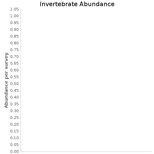 Invertebrate Abundance