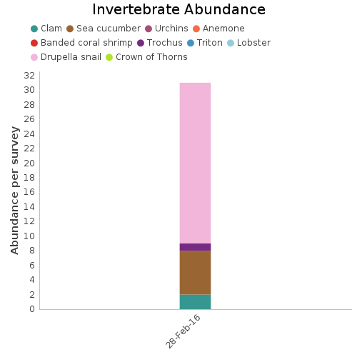 Invertebrate Abundance